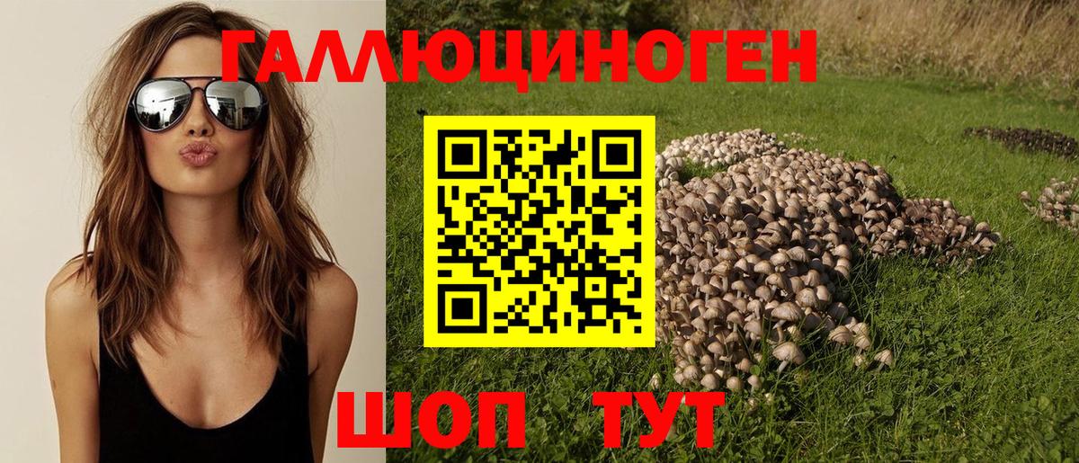 Псилоцибиновые грибы Cubensis  Псилоцибиновые грибы MAGIC MUSHROOMS  Вход с VPN  Мичуринск 